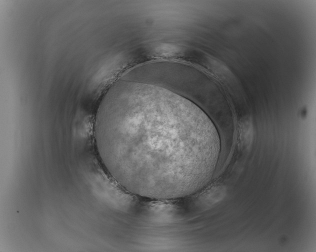 X0000112410284200908211129