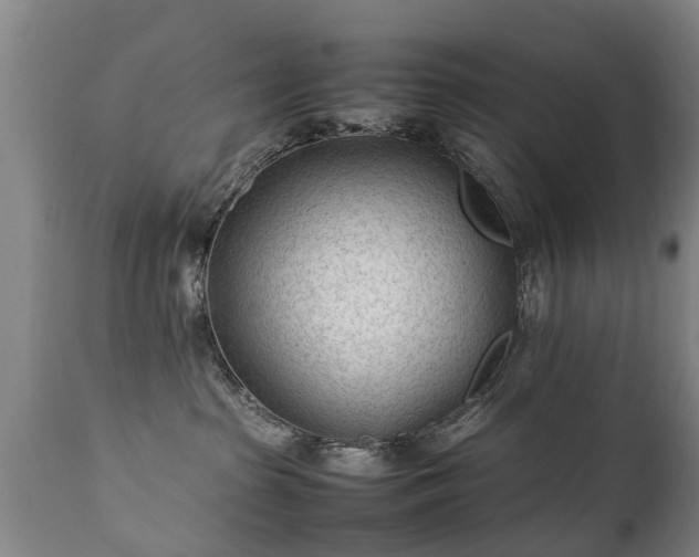 X0000112410285200908211129