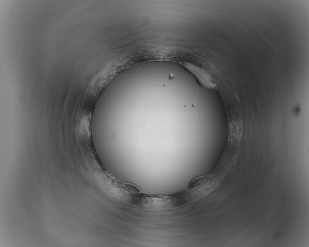 X0000112410286200908211129