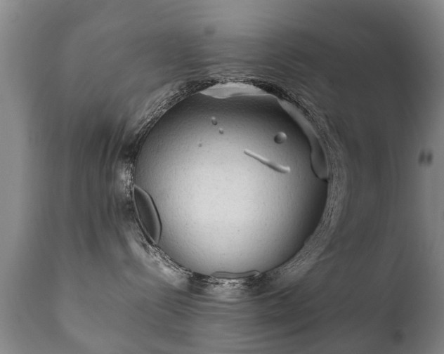 X0000112410288200908211129