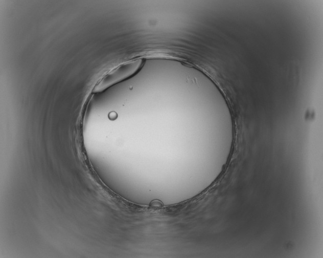 X0000112410289200908211129