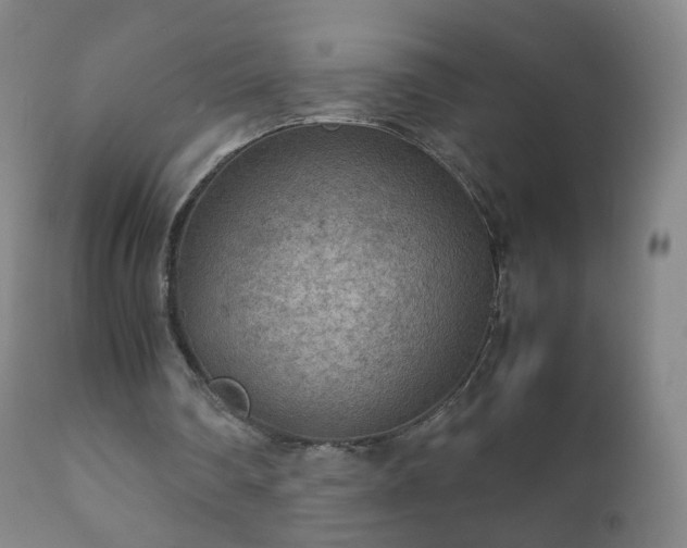 X0000112410290200908211129