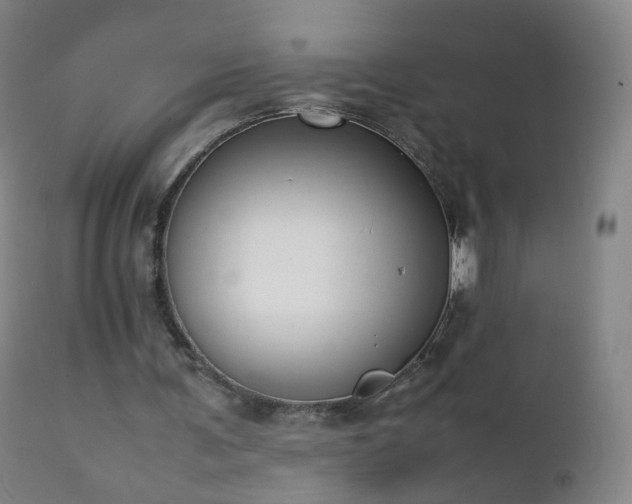 X0000112410291200908211128