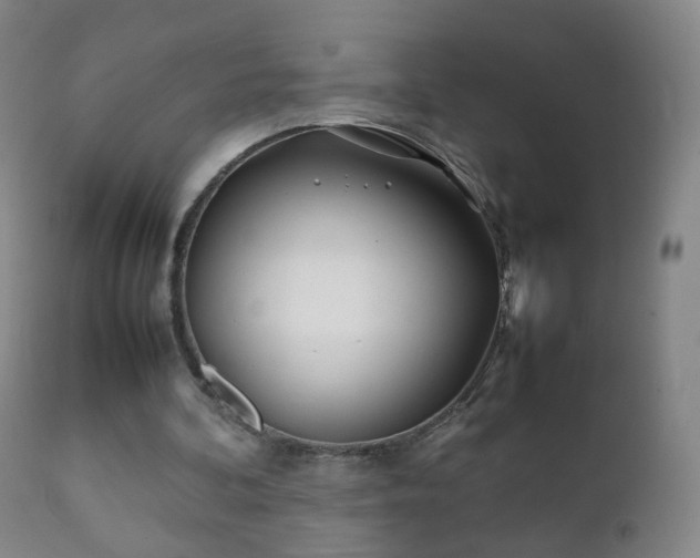 X0000112410292200908211128
