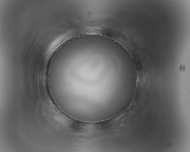 X0000112410293200908211128