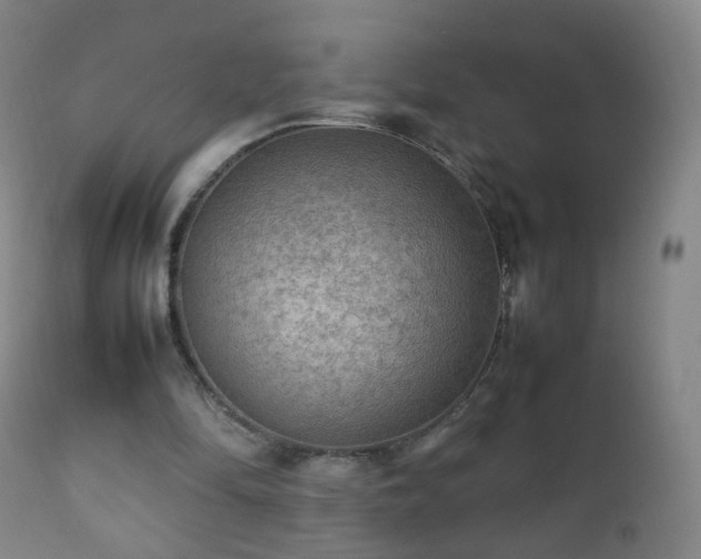 X0000112410294200908211128