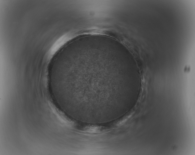 X0000112410295200908211128