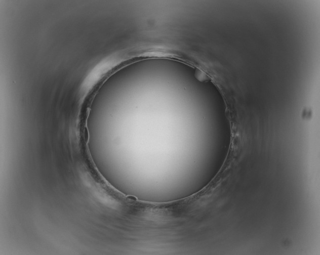 X0000112410296200908211128