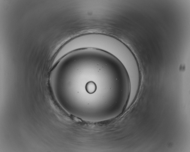 X0000112410297200908211128