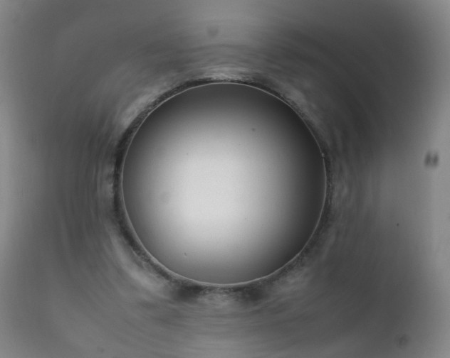 X0000112410299200908211128
