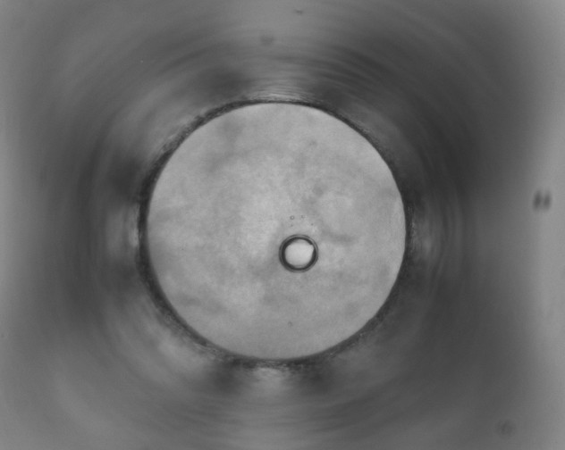X0000112410302200908211128