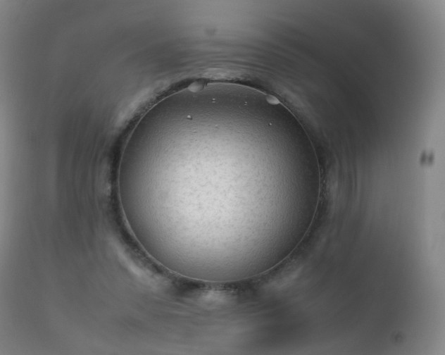 X0000112410303200908211128