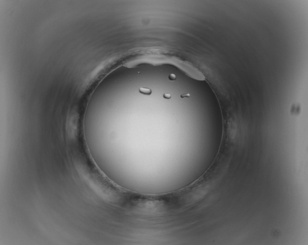 X0000112410304200908211128