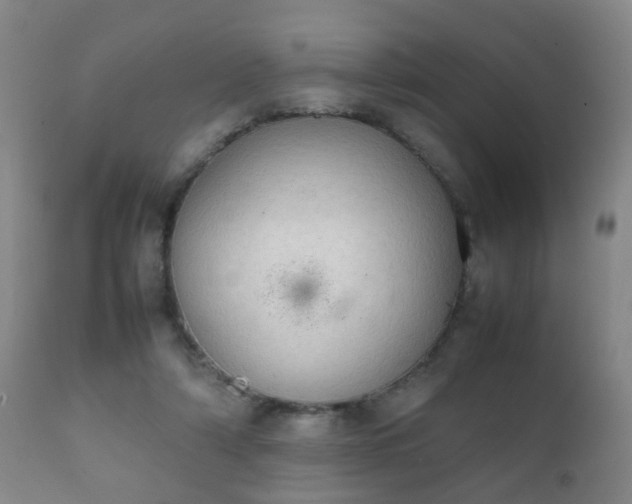 X0000112410306200908211128
