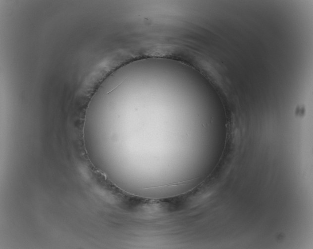 X0000112410307200908211128