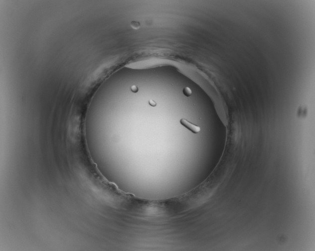 X0000112410308200908211128