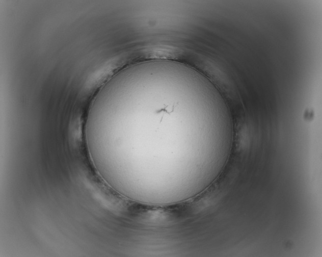 X0000112410310200908211128