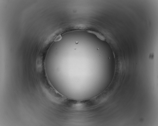 X0000112410312200908211128