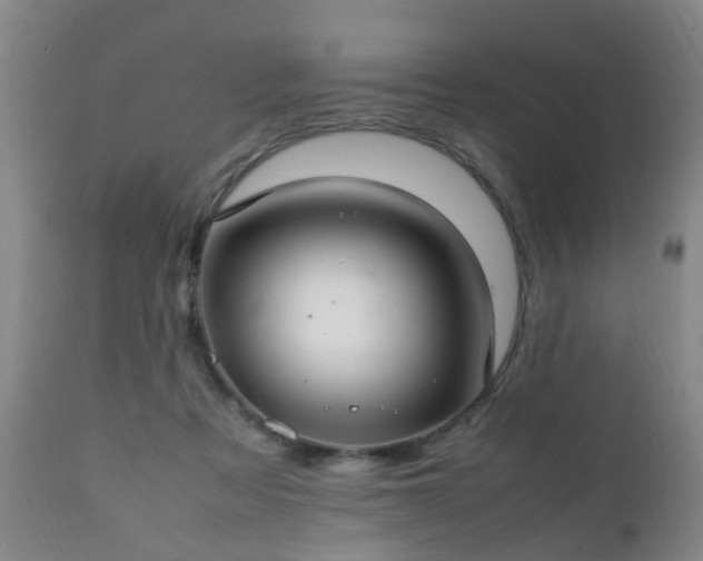 X0000112410313200908211128