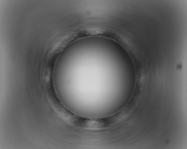 X0000112410315200908211128