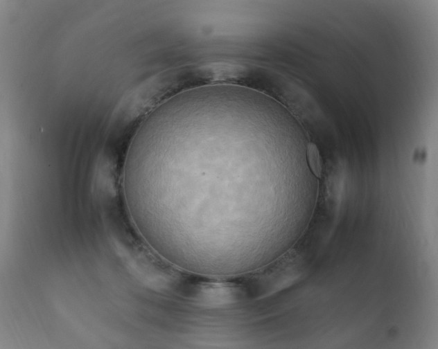 X0000112410316200908211128