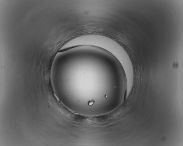 X0000112410317200908211128