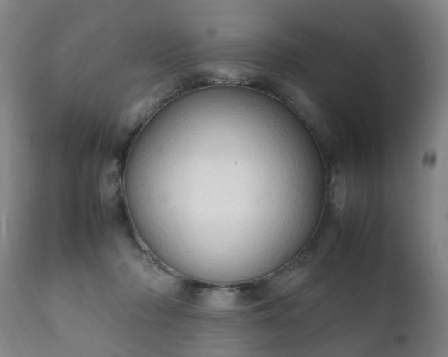 X0000112410318200908211128