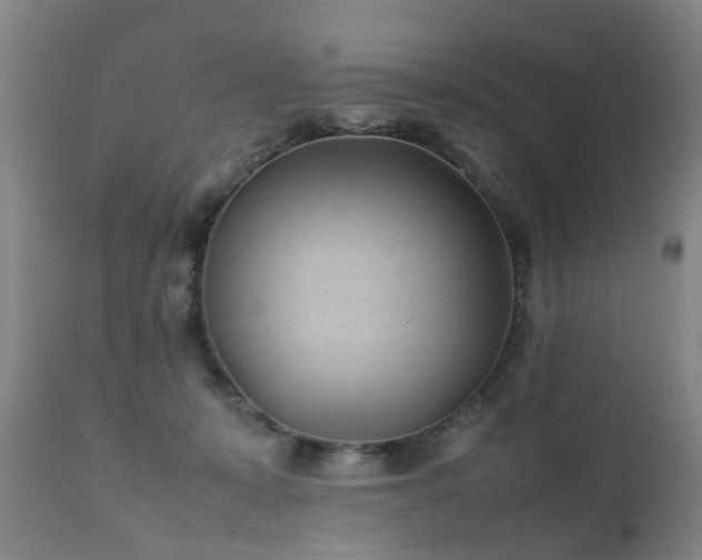 X0000112410319200908211128