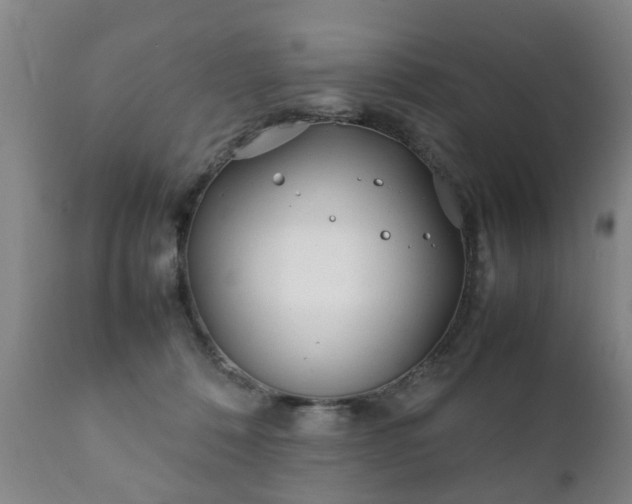 X0000112410320200908211128