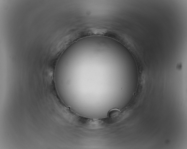 X0000112410321200908211128