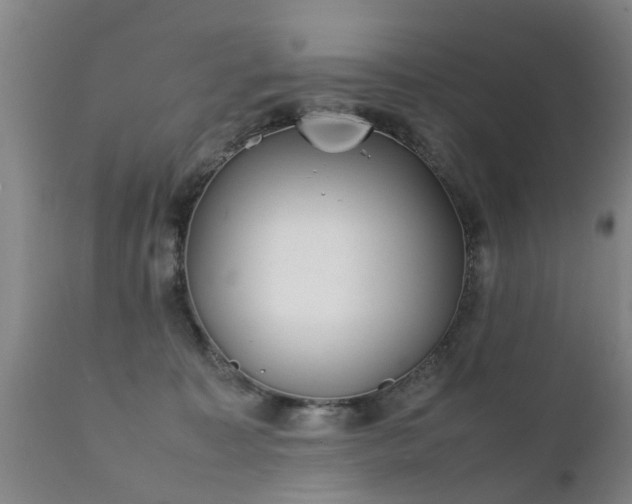 X0000112410323200908211128