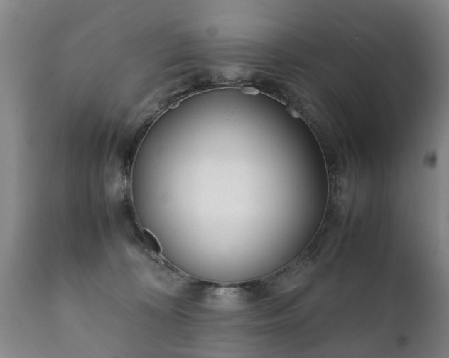 X0000112410324200908211128