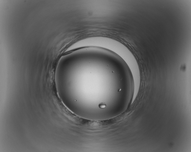 X0000112410325200908211128