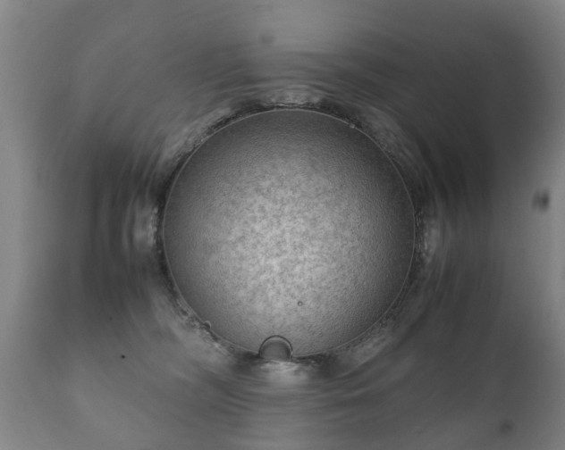 X0000112410326200908211128