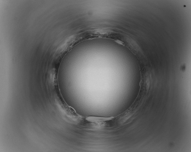 X0000112410328200908211128