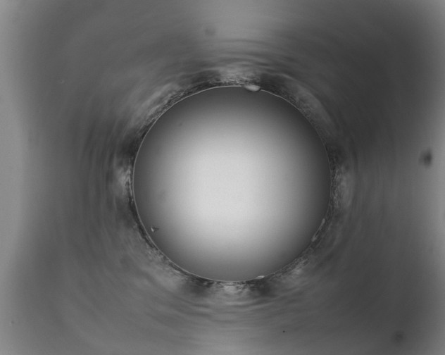 X0000112410329200908211128