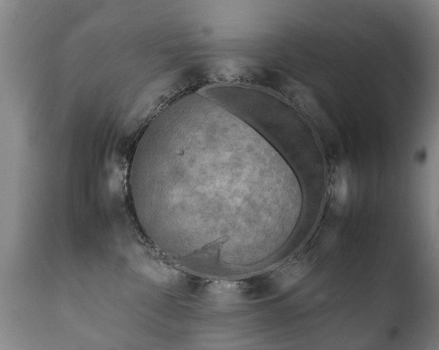 X0000112410332200908211128