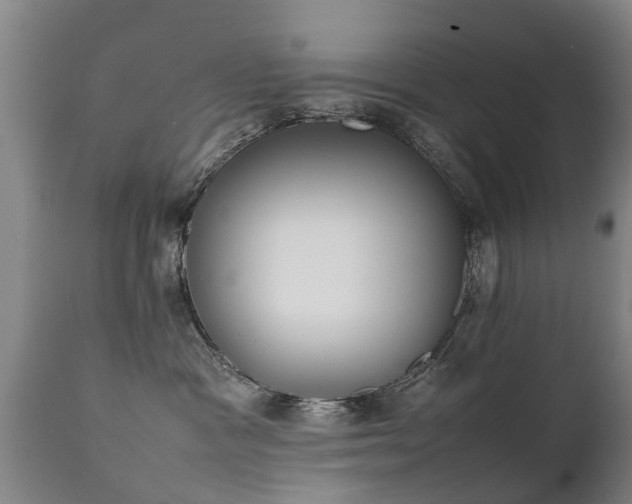 X0000112410333200908211128