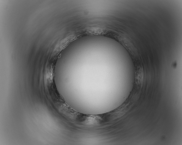 X0000112410334200908211128