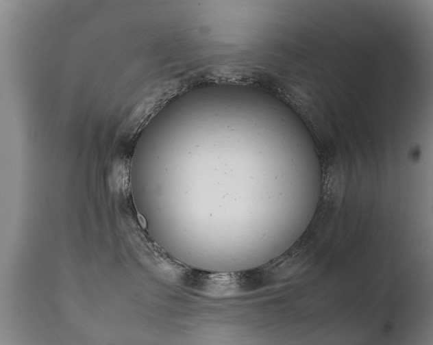 X0000112410335200908211128