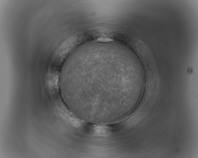 X0000112410336200908211128