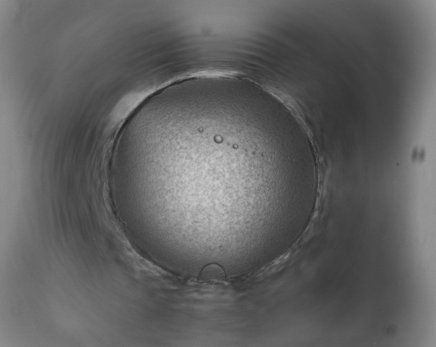 X0000112410337200908211127