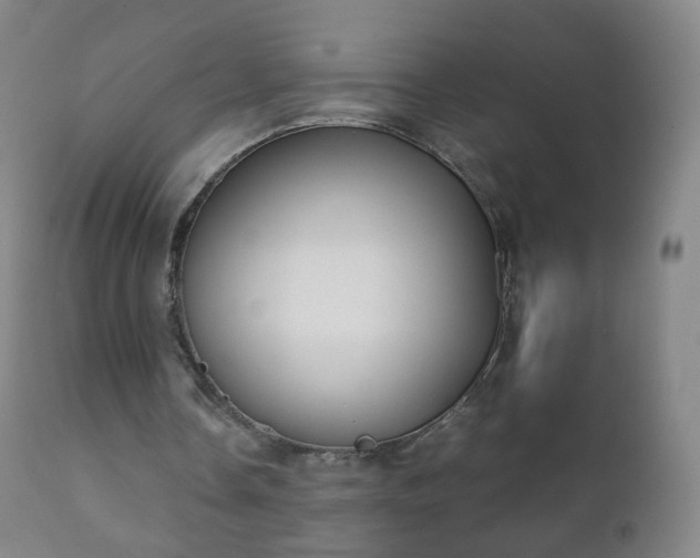 X0000112410338200908211127