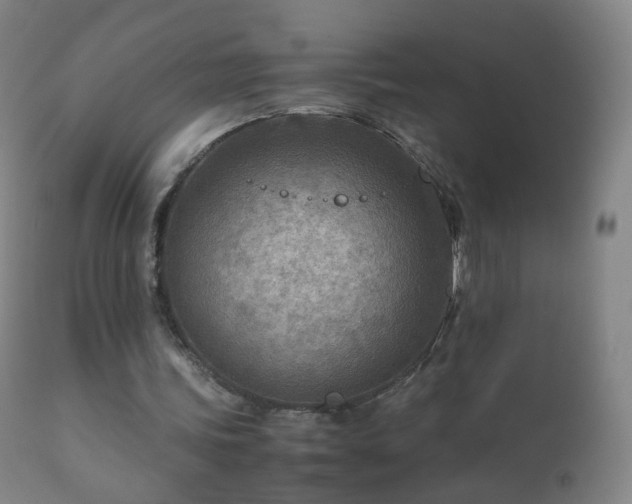 X0000112410339200908211127