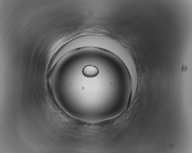 X0000112410340200908211127
