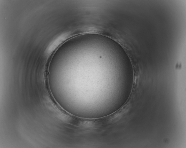 X0000112410341200908211127