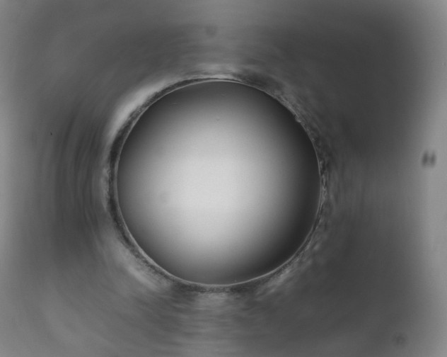 X0000112410342200908211127