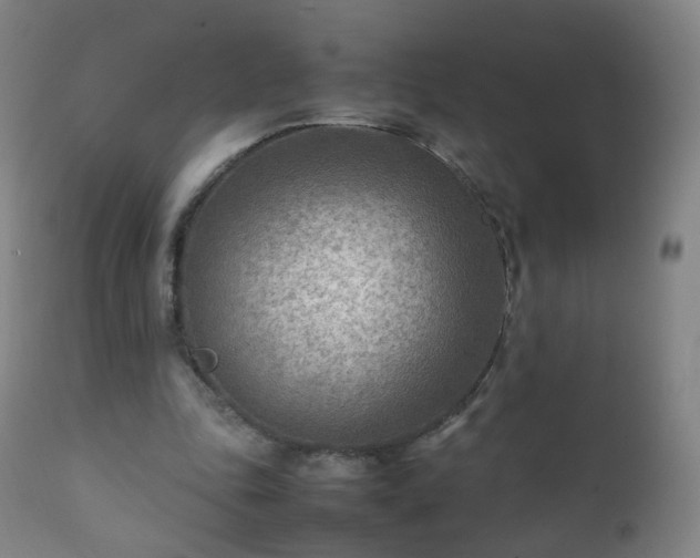 X0000112410343200908211127