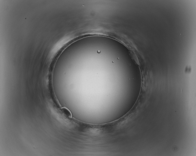 X0000112410344200908211127
