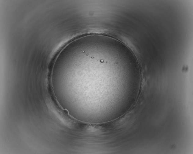 X0000112410346200908211127